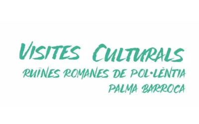 Visites Culturals