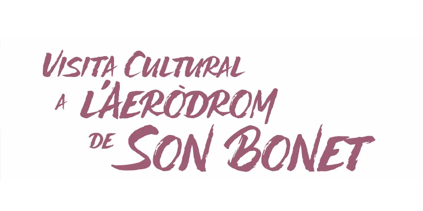 IMD VISITA A L'AERÒDROM SON BONET