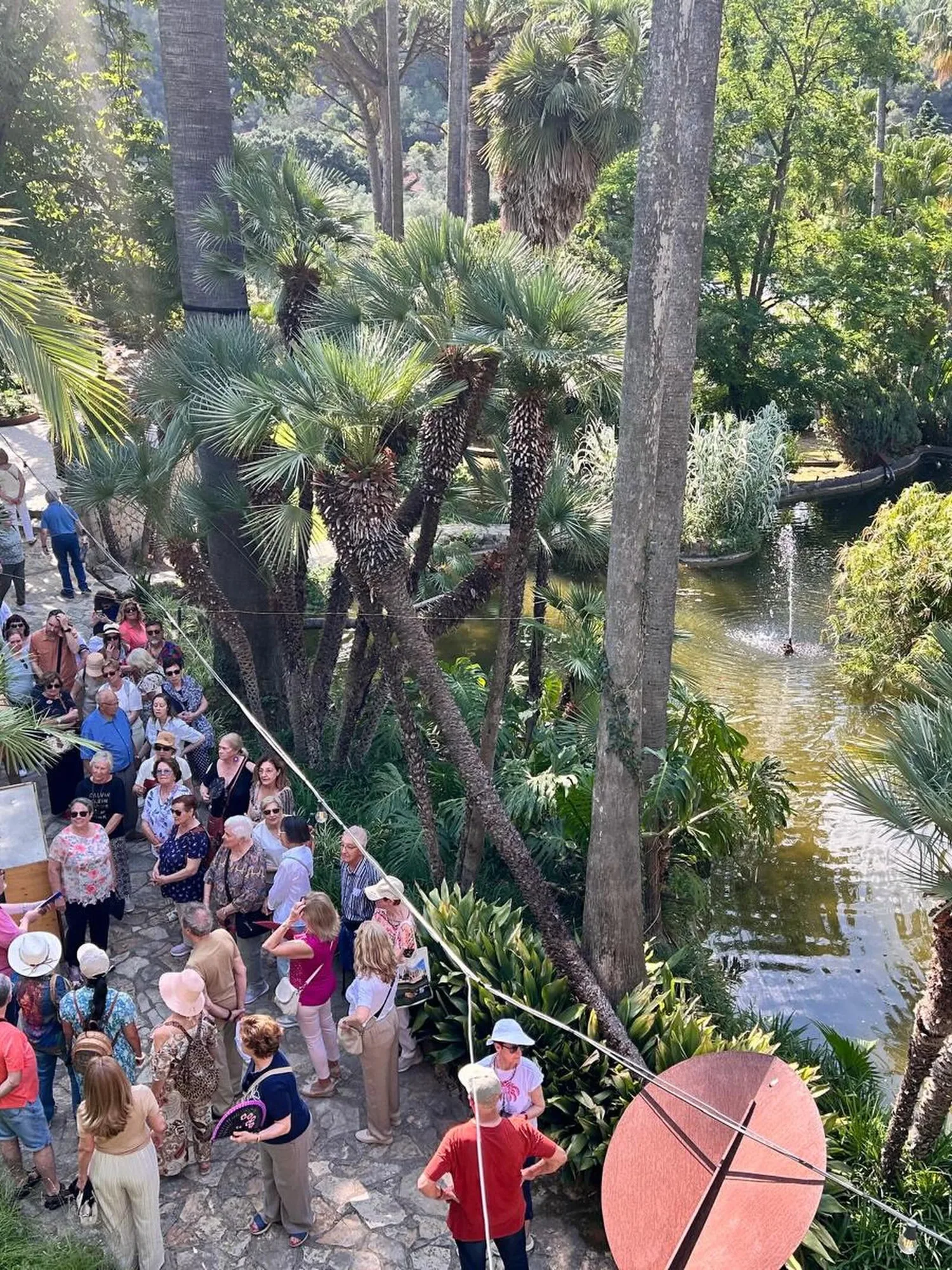 Excursió alfàbia i raixa 2026