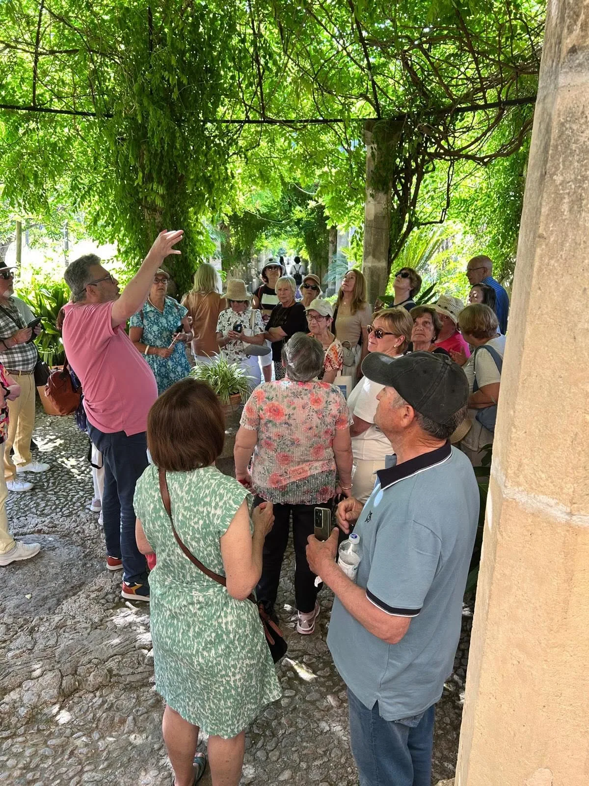 Excursió alfàbia i raixa 2026